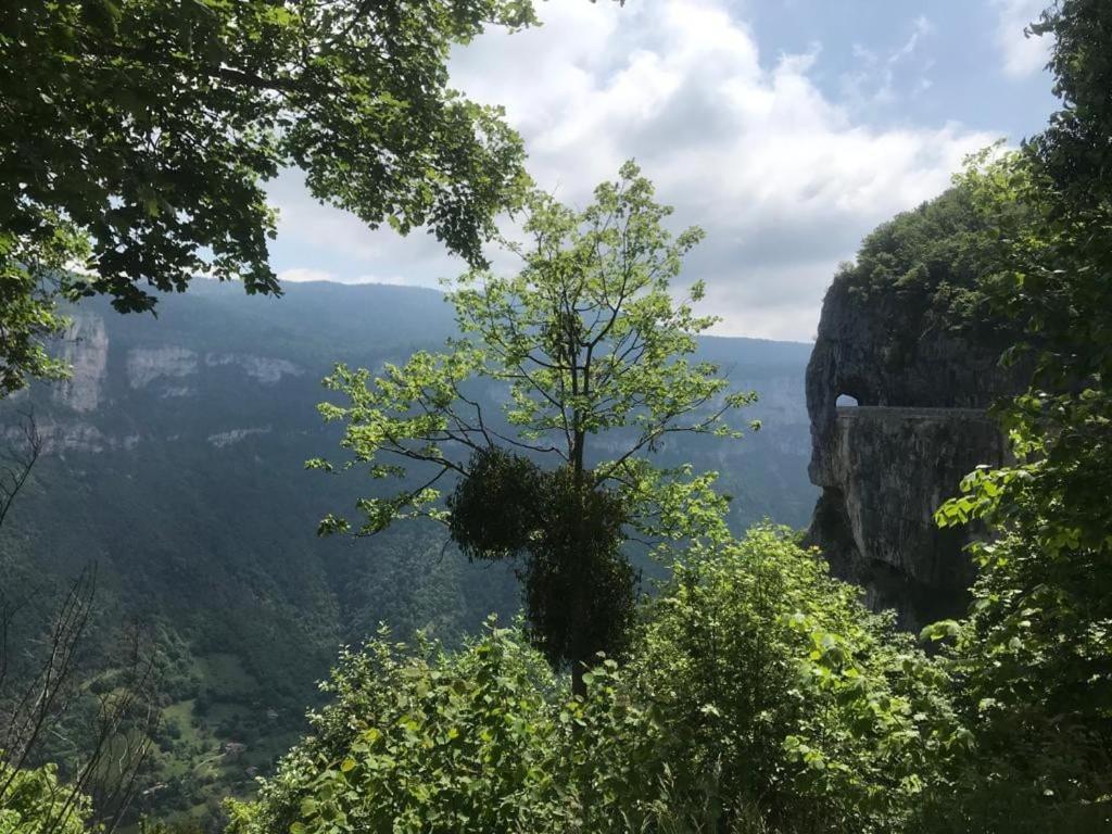 Maison De Vacances Avec Ses Petits Chalets Aouste-sur-Sye Buitenkant foto